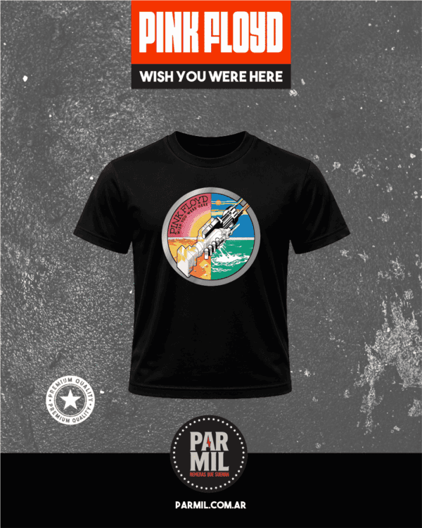 Remeras Par Mil - Pink Floyd Wish you were here Remeras Pink Floyd