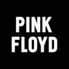REMERAS PINK FLOYD Remeras Pink Floyd