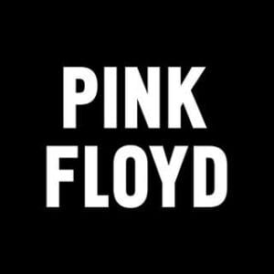 REMERAS PINK FLOYD Remeras Pink Floyd